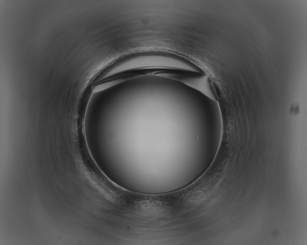X0000091530535200708241714