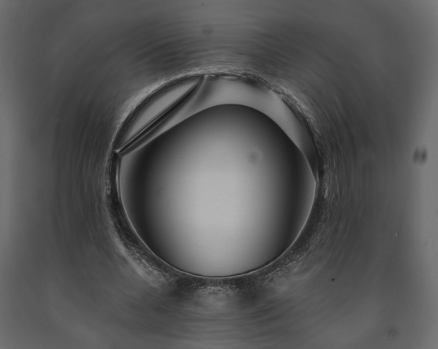 X0000091530536200708241714