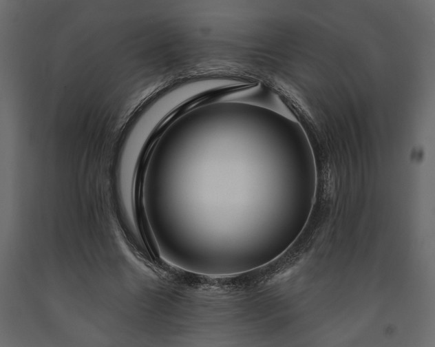 X0000091530538200708241714