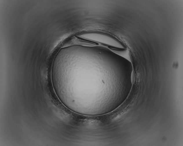 X0000091530539200708241714