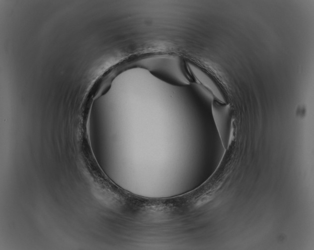 X0000091530540200708241714