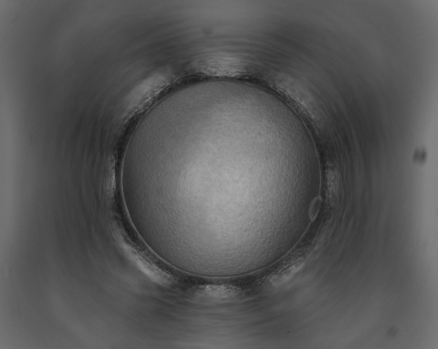 X0000091530541200708241714