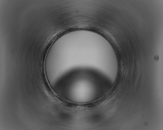 X0000091530542200708241714