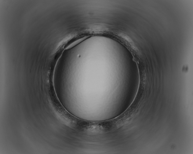 X0000091530543200708241714