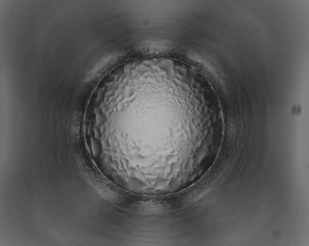 X0000091530545200708241714