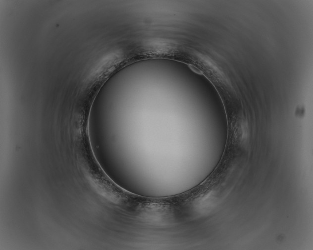 X0000091530546200708241714