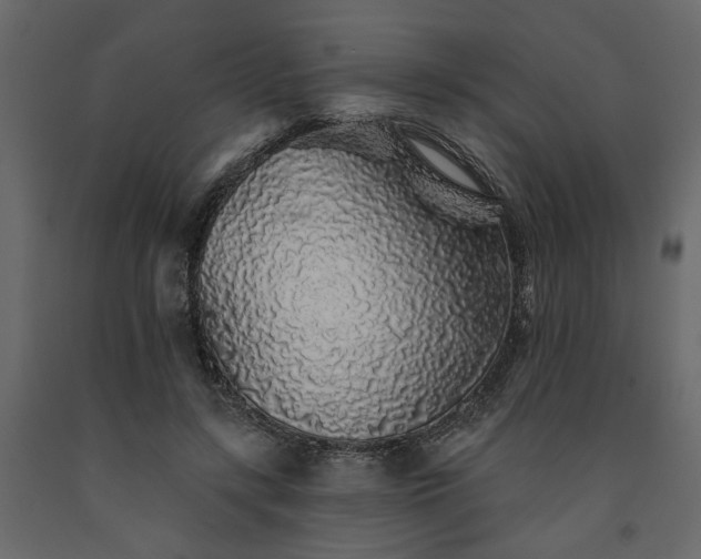 X0000091530547200708241714