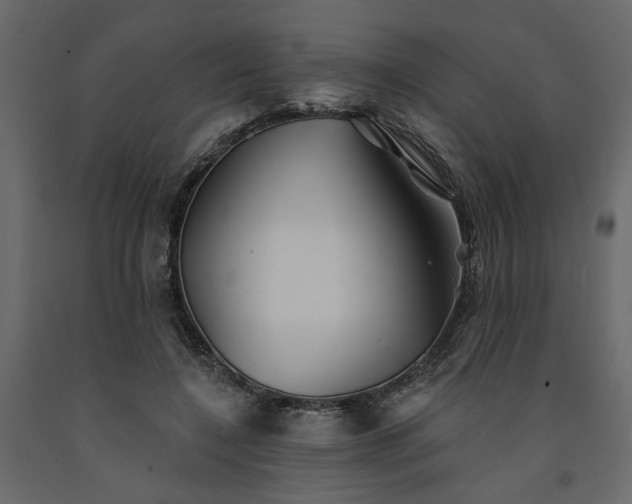 X0000091530548200708241714