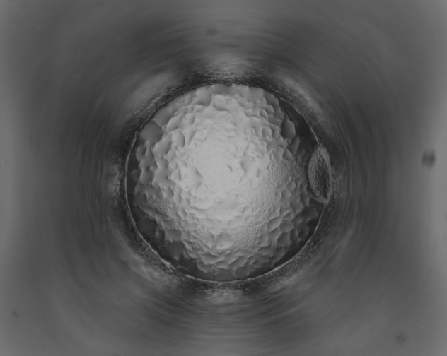 X0000091530549200708241714