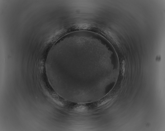 X0000091530551200708241714