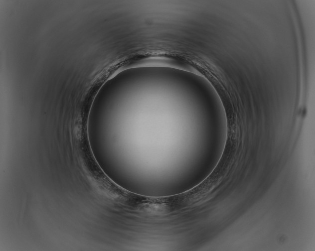 X0000091530552200708241714
