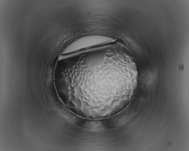 X0000091530554200708241714