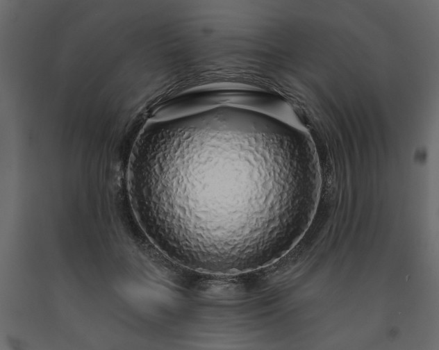 X0000091530555200708241714