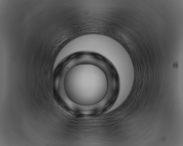 X0000091530556200708241714