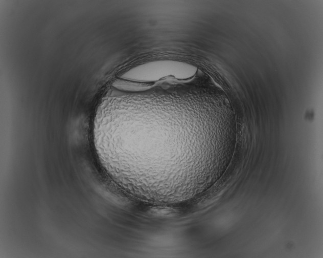 X0000091530557200708241714