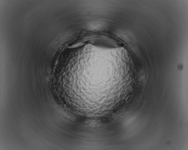 X0000091530559200708241714