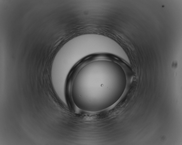 X0000091530560200708241714