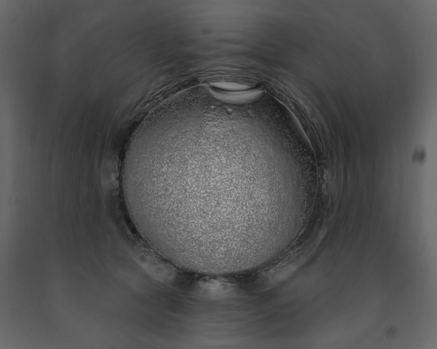 X0000091530561200708241714