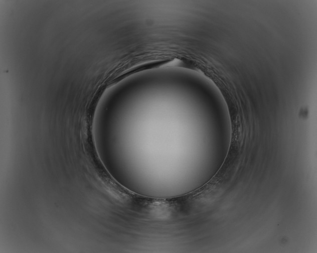 X0000091530562200708241714