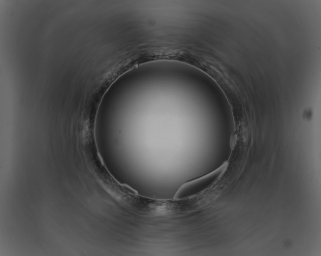X0000091530564200708241714