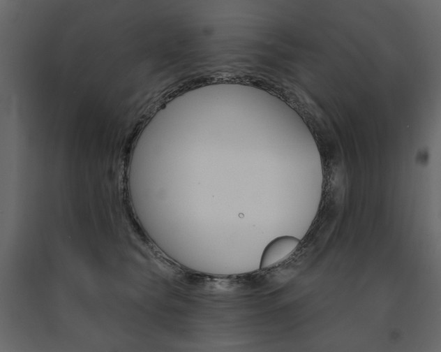 X0000091530565200708241714