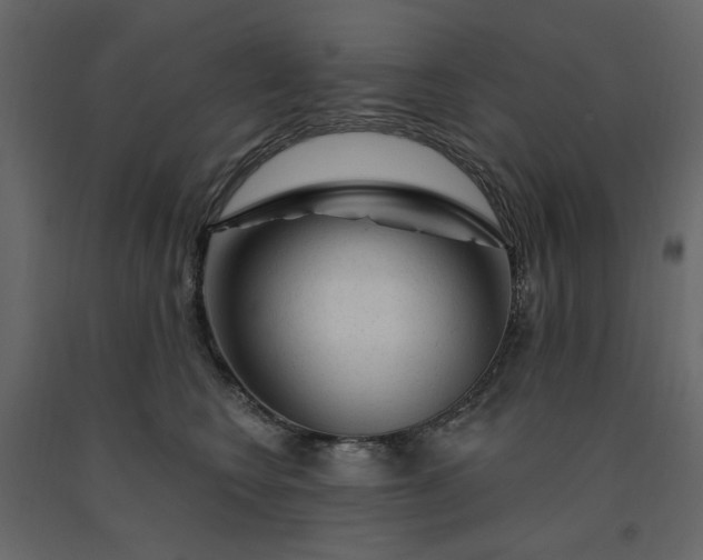 X0000091530566200708241714