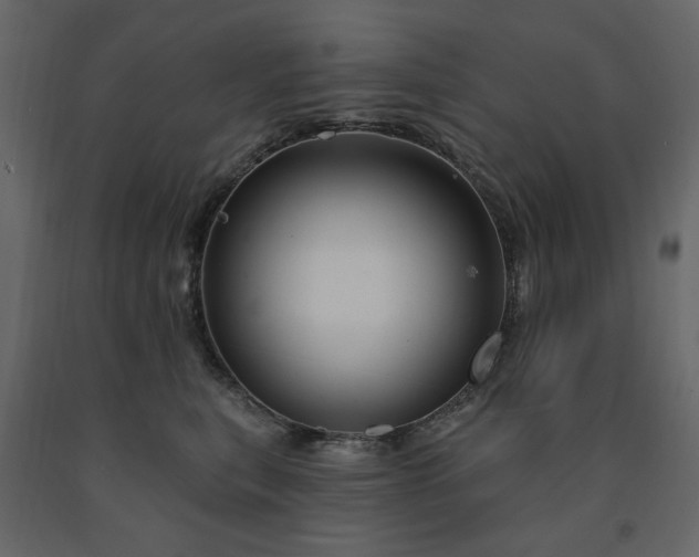X0000091530567200708241714