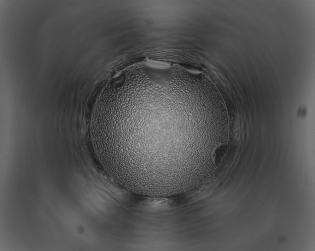 X0000091530569200708241714