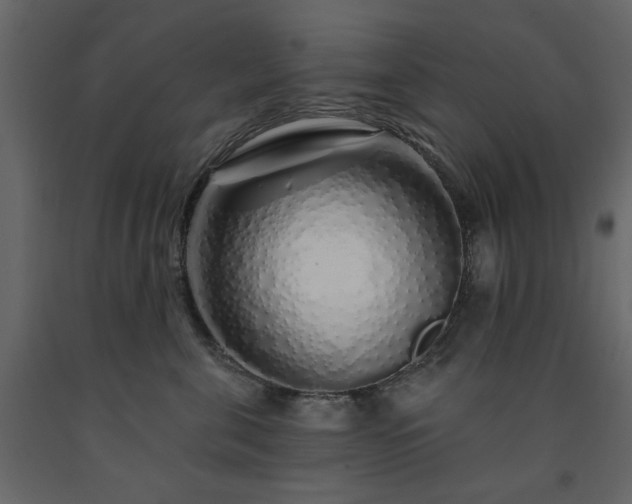 X0000091530571200708241714