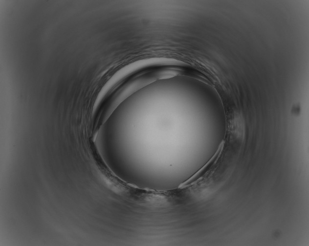 X0000091530572200708241714