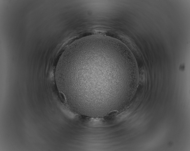 X0000091530573200708241714