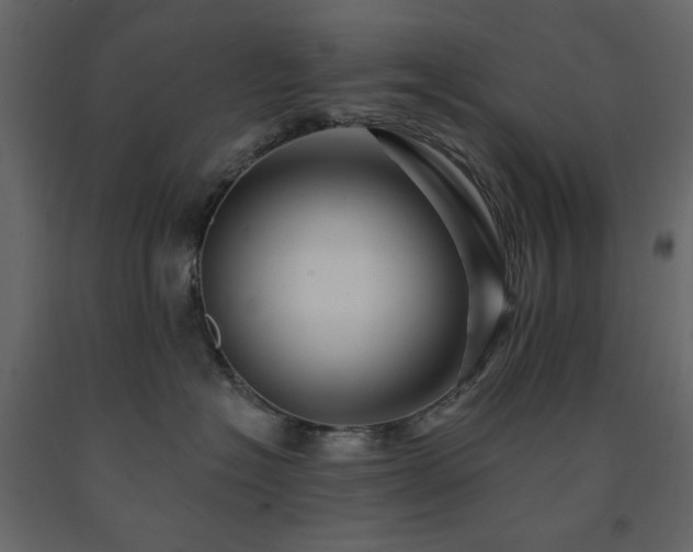 X0000091530574200708241714