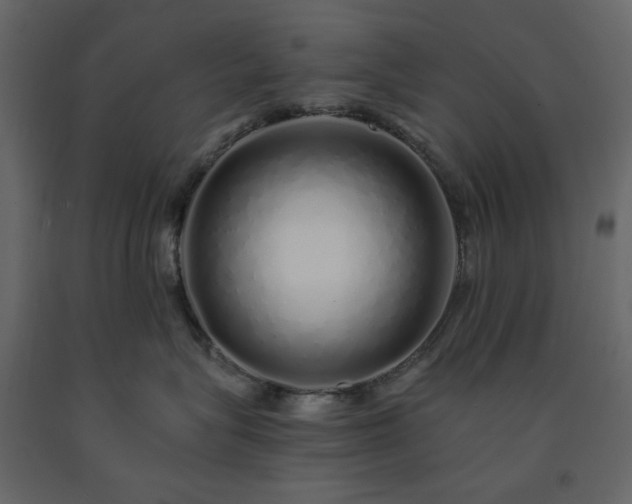 X0000091530575200708241714