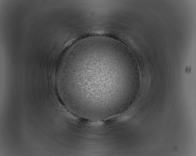 X0000091530576200708241714