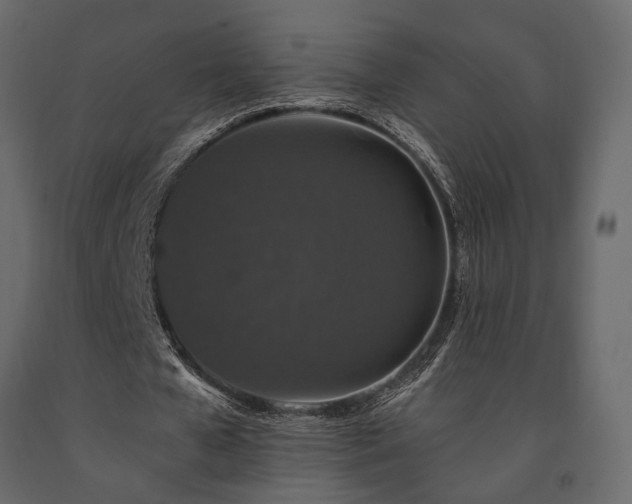 X0000091530577200708241714