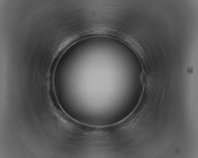 X0000091530578200708241714