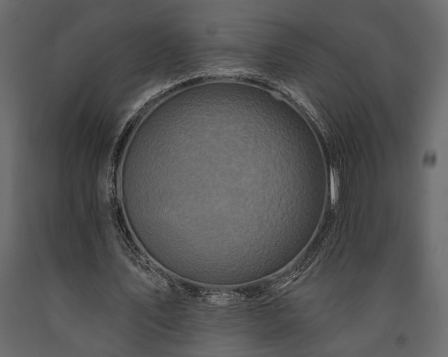 X0000091530579200708241714