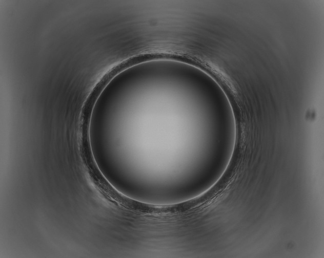X0000091530580200708241714