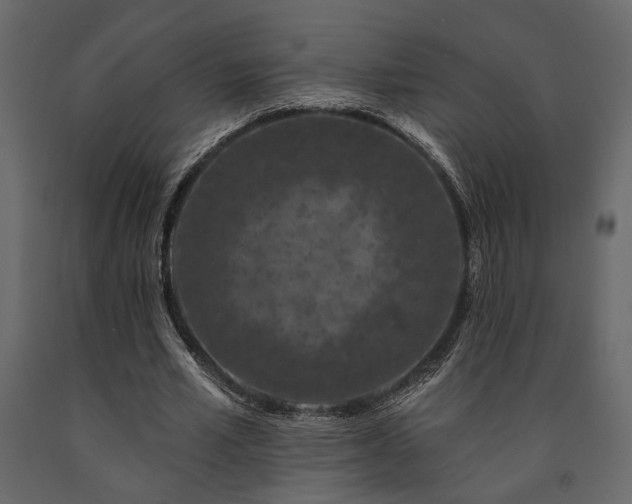 X0000091530581200708241714