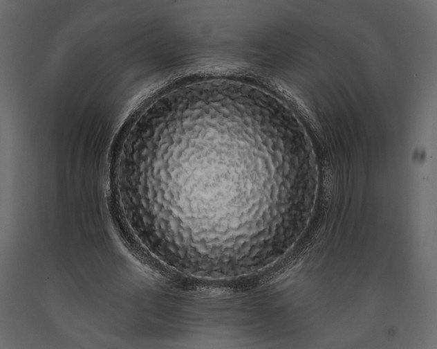 X0000091530582200708241714