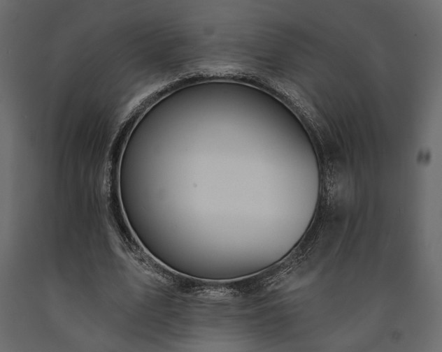 X0000091530583200708241714
