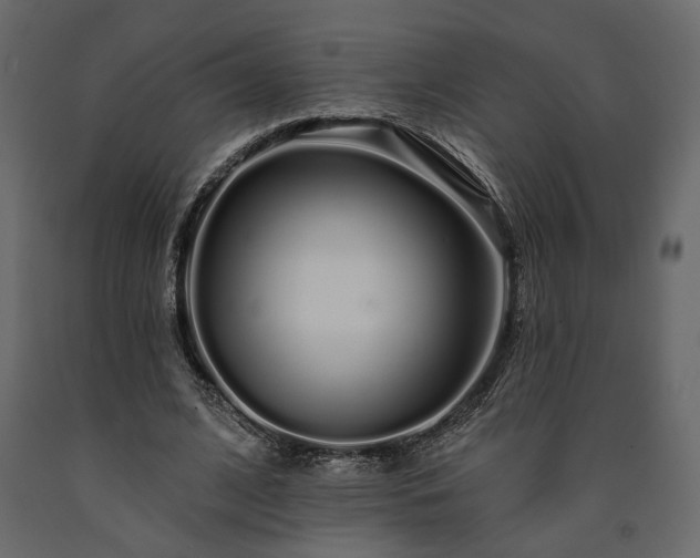 X0000091530584200708241714