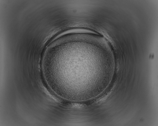 X0000091530585200708241714