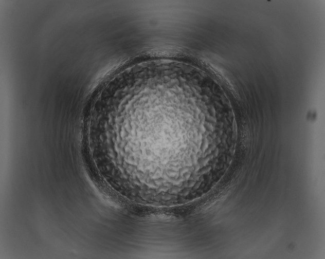 X0000091530586200708241714