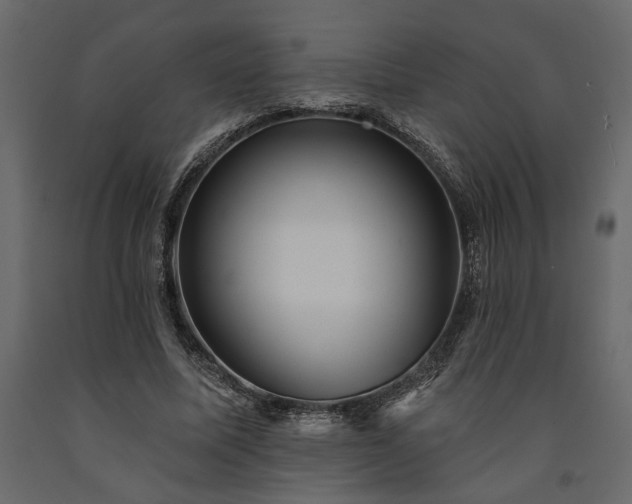 X0000091530587200708241714