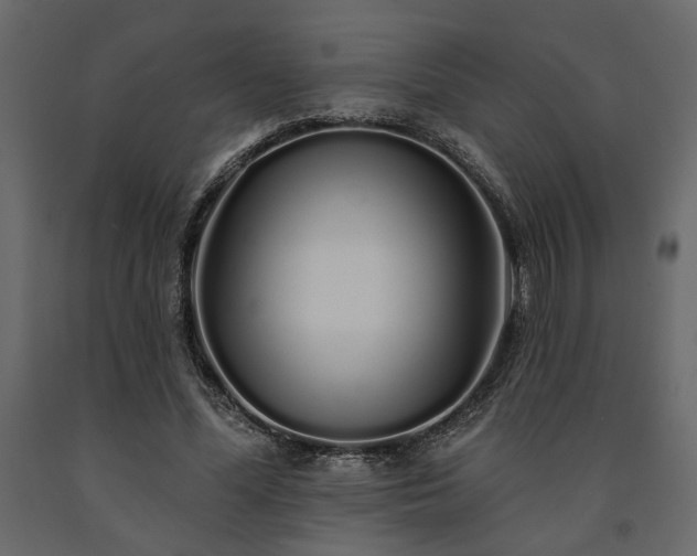 X0000091530588200708241714