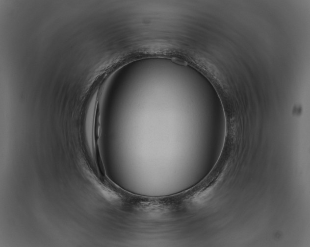 X0000091530589200708241713