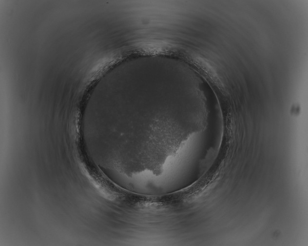 X0000091530590200708241713