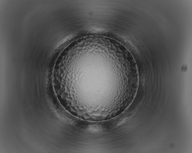 X0000091530591200708241713