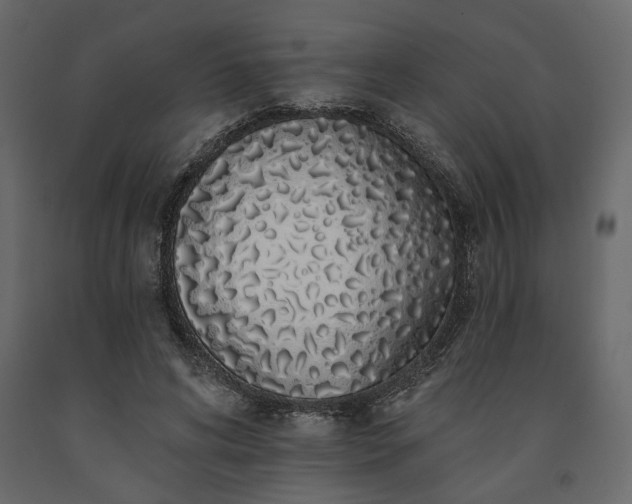 X0000091530592200708241713